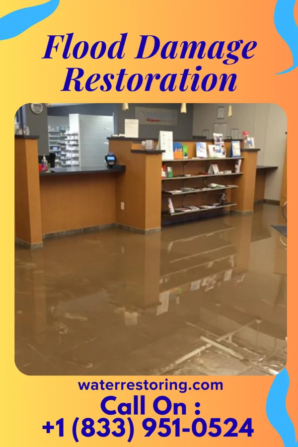 Flood Damage Restoration in Brook Highland, AL